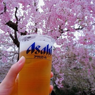 しらたまむにさんのプロフィール画像