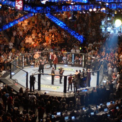 The Legal Submission is a podcast dedicated to explaining the legal side of combat sports as best as possible.  Run by @dilletaunt of @mmapayout