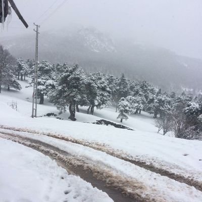 tokatistanbul1's profile picture. Let it go