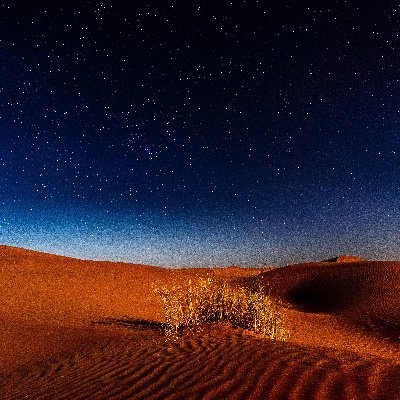 _pba_06's profile picture. 