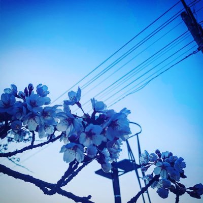 ───────────𝗌𝗁𝗈𝖾𝗀𝖺𝗓𝖾𝗋─────────バンド→@murray_a_cape