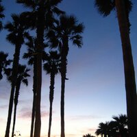 M&M (@bktosdca) 's Twitter Profile