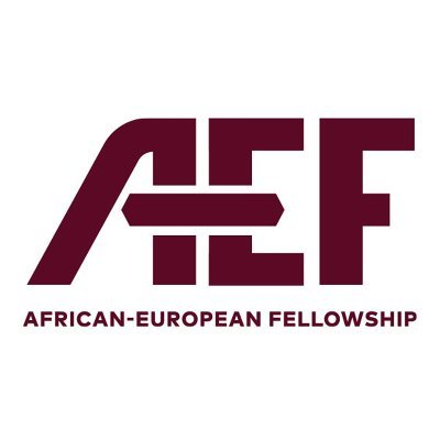 We are bridging Europe with Africa - Join us on our journey. For more details contact us: contact@ae-fellowship.com