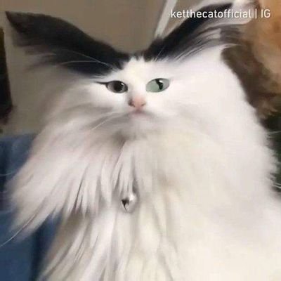 Francescask1's profile picture. 