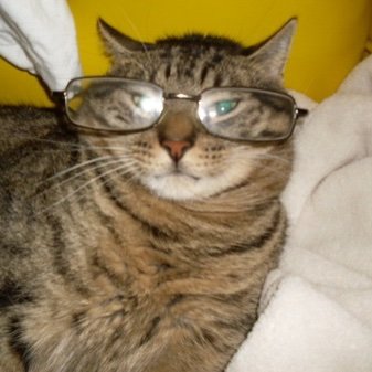 BobByington's profile picture. https://t.co/MAJE769Rhj