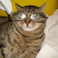 Bob Byington (@bobbyington) 's Twitter Profile Photo Bob Byington (@bobbyington) 's Twitter Profile Photo