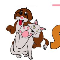 Patim Sende (@patimsende) Twitter profile photo