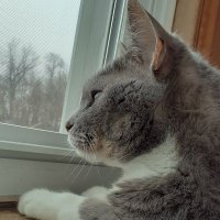 Ethan (@ssmilezz_r6) 's Twitter Profile