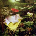 Carole Baker - @lbakerc - Twitter