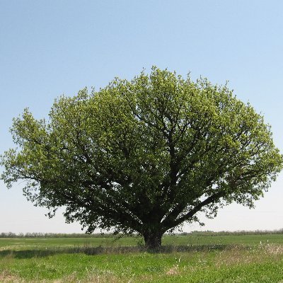 THEbruce421's profile picture. 