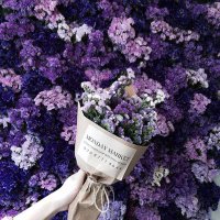 ﮼مـيـم🕊✨ (@aa_ss5599) Twitter profile photo