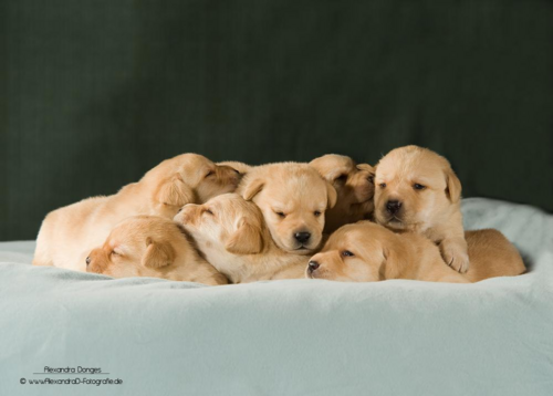 gmptesting's profile picture. 