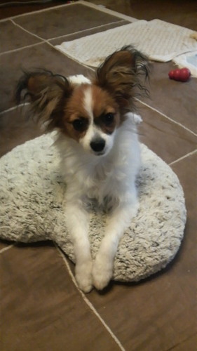 kanon2344's profile picture. 