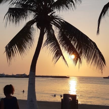 HenryHu50570180's profile picture. 