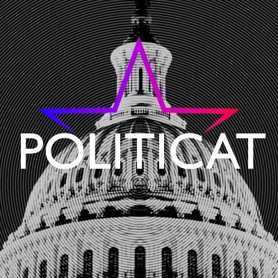 Politicat on Northwestern News Network