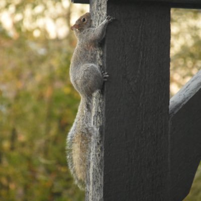 KevinDeWine's profile picture. Stand with anyone that is right; stand with him while he is right and part with him when he goes wrong. - Abraham Lincoln