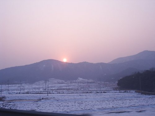 떠오르는 태양처럼.......!!