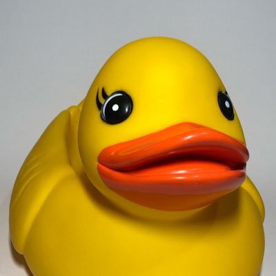 apolo_castaneda's profile picture. profe de matemáticas