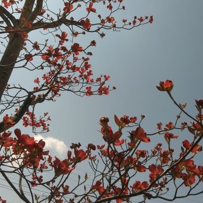 AwXWRhfPZZfUJOt's profile picture. 政治（日本保守党支持）、DIY、ゴルフ、将棋、省エネ、数学、落語に関心を持つ
今、自民党の堕落と反日・甘ったれ左翼と外国勢力の横暴により、このままでは日本は衰退を辿る瀬戸際です。ここは踏ん張らなければいけません。
今後の選挙で、日本保守党を中心に応援していくしかありません。