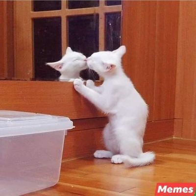 Maury0090's profile picture. viva panama..🇵🇦