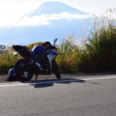 yzfr2584324354 Profile Picture