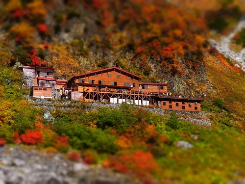 名前 小屋番
住所 北アルプス!!
穂高涸沢を住みつき、穂高を見守り、
愛し、そして勉強させてもらっている、
私たち小屋番。
腕っ節は強いが、かわいこちゃん
にはめっぽう弱い。
酒と山をこよなく愛する氷河人。