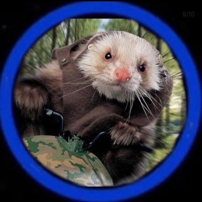 tusabrosito92's profile picture. 