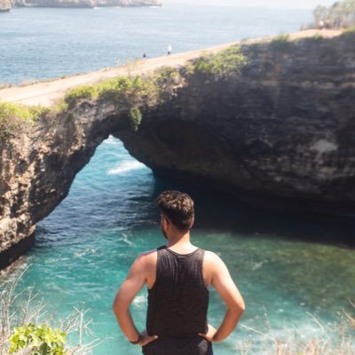 InvertedGyro's profile picture. Aircraft Engineer