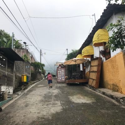 DelmyHe87250558's profile picture. 🌹