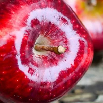 aadil_ganai's profile picture. Proud Kashmiri.                                                                                         Research Scholar@NIT SRINAGAR