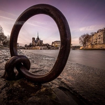 LoZ_Ange's profile picture. 