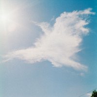 川島小鳥 (@kotorikawashima) 's Twitter Profile Photo