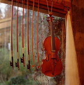 hany_atef55's profile picture. 