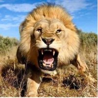 saXam News (@saxamnews) 's Twitter Profile Photo saXam News (@saxamnews) 's Twitter Profile Photo