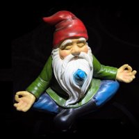 The Wise Gnome(@wise_gnome) 's Twitter Profileg