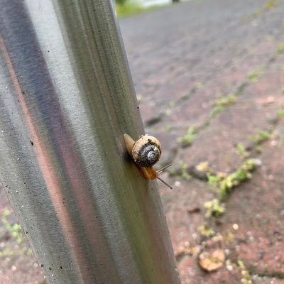 好きなものだけを見たくて作ったROM専用アカウントです。たまに買い物メモを呟くので鍵垢にしています。【成人済】