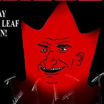 FarRightCanuck's profile picture. A Canadian Nationalist tired of Canada being weak. I wanna Save All Western Culture countries, even if I find my grave doing so. By Any Means.