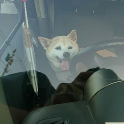 Dfd_football365's profile picture. I'm (¦3|▓▓| for half the year, and for the other half I do housework🧺, watch live ⚽broadcasts, mainly Hokkaido Consadole Sapporo🔴⚫🦉, and 🎮 Street Fighter 6.