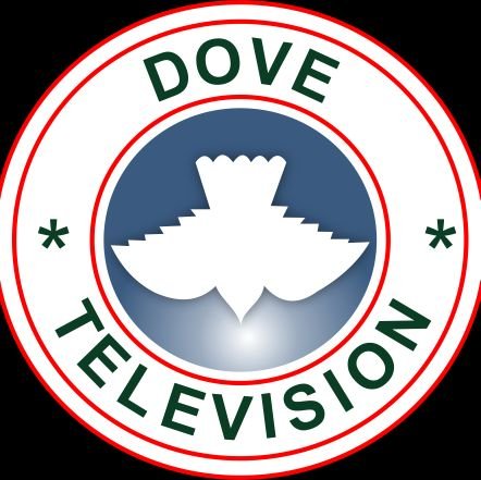 dovetv Profile Picture