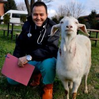 Kadir ÖZDEMİR (@kdrvethek16) 's Twitter Profile