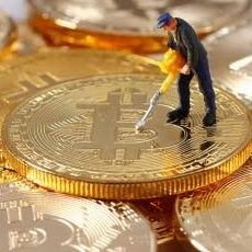 Coincall1's profile picture. 