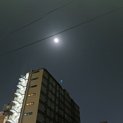 mjmn19885858's profile picture. 閲覧リスト管理用