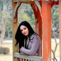 Shabina Aslam (@shabinaaslam) 's Twitter Profile
