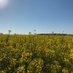 HailWestonFarms (@hailwestonfarms) Twitter profile photo HailWestonFarms (@hailwestonfarms) Twitter profile photo