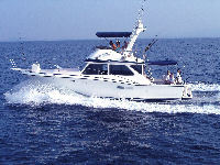 owner / capt. fishing/sailing/sunset cruises/whale watching company here in Puerto Vallarta.