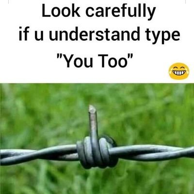 TeemFari's profile picture. 