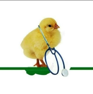 YHayatullahi's profile picture. Muslim#Vet#