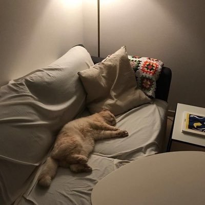 momota08678280's profile picture. 閲覧用