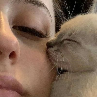 x3QiZIpfix2wwcD's profile picture. 