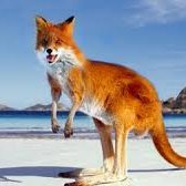 moshi92262078's profile picture. Cpa and affiliate Expert